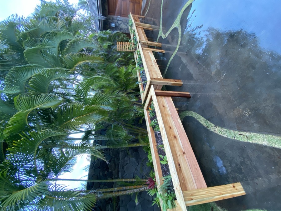 Cedar garden beds installed under palms